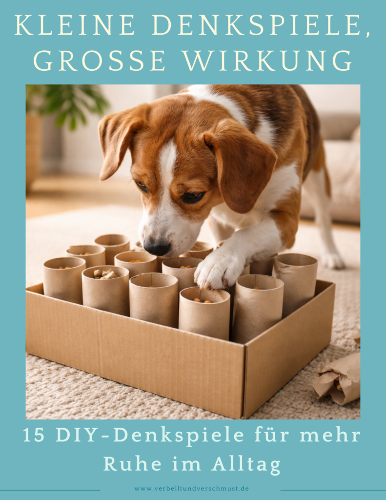 Titelbild Denkspiele für Hunde