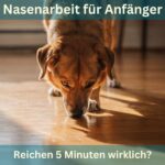 Nasenarbeit für Anfänger